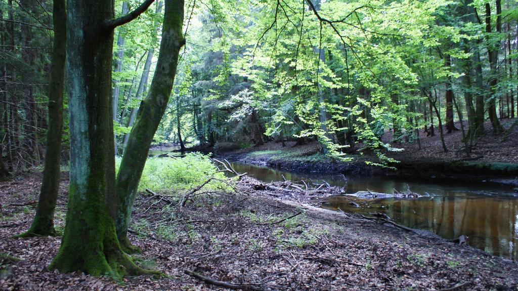 Privat overnatting Tawerna Panorama